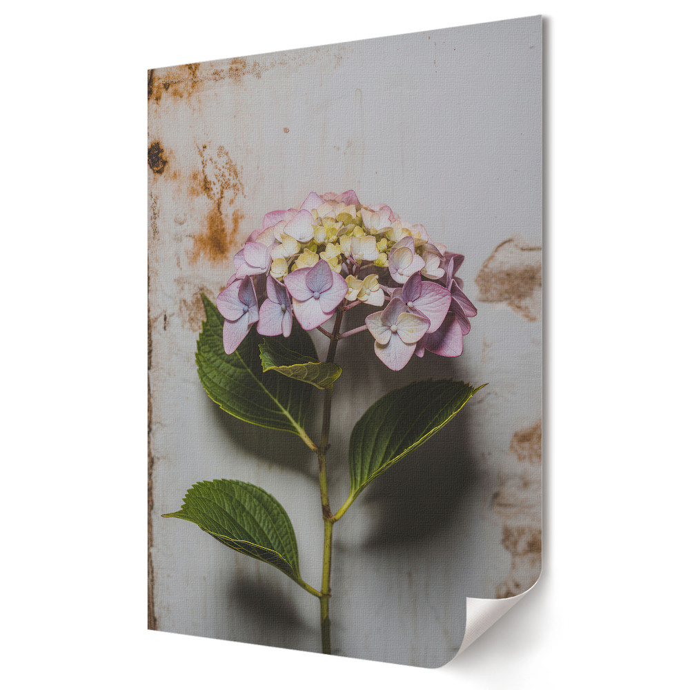Poster decorativ Delicatesa florilor pe un fundal vechi