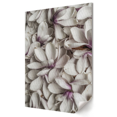 Poster de perete Eleganța florilor de magnolie albă