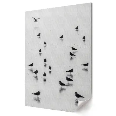 Tablou canvas Liniștea unei dimineți la malul mării cu păsări