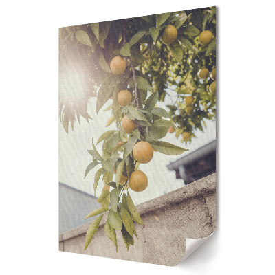 Poster decorativ Portocale proaspete la soare