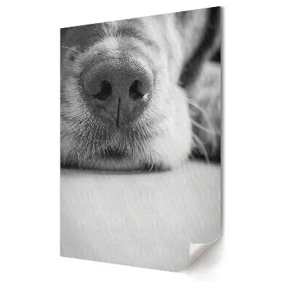 Tablou canvas grafică cu câine Nas fermecător