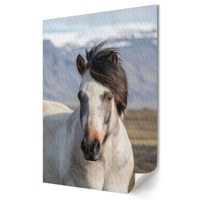 Poster de perete Eleganța unui cal într-un peisaj natural