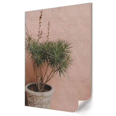 Poster de perete Plantă verde pe fundal roz