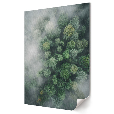 Poster decorativ Oază verde în pădurea încețoșată