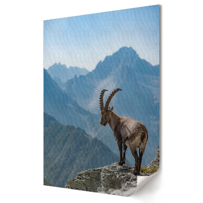 Poster decorativ Ibex de munte pe vârf