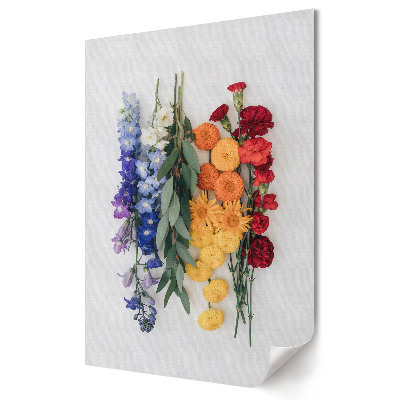 Poster decorativ Compoziție florală colorată pe fundal