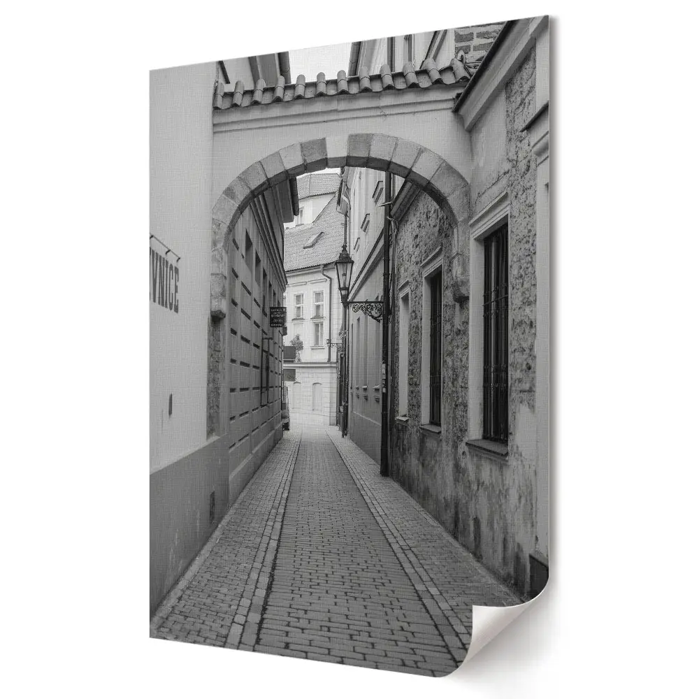 Poster decorativ cu alee fermecătoare în stil monocrom
