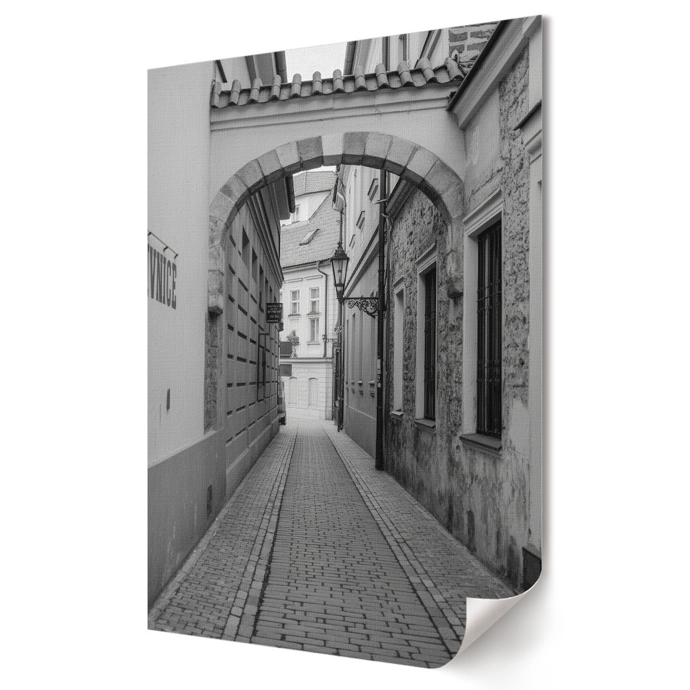 Poster decorativ O alee fermecătoare într-un decor monocromatic