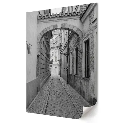 Poster decorativ cu alee fermecătoare în stil monocrom