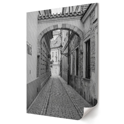 Poster decorativ O alee fermecătoare într-un decor monocromatic