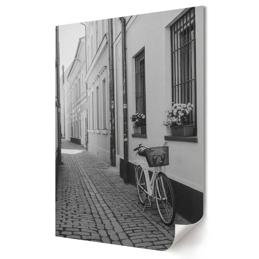 Poster de perete alb-negru cu stradă liniștită și bicicletă