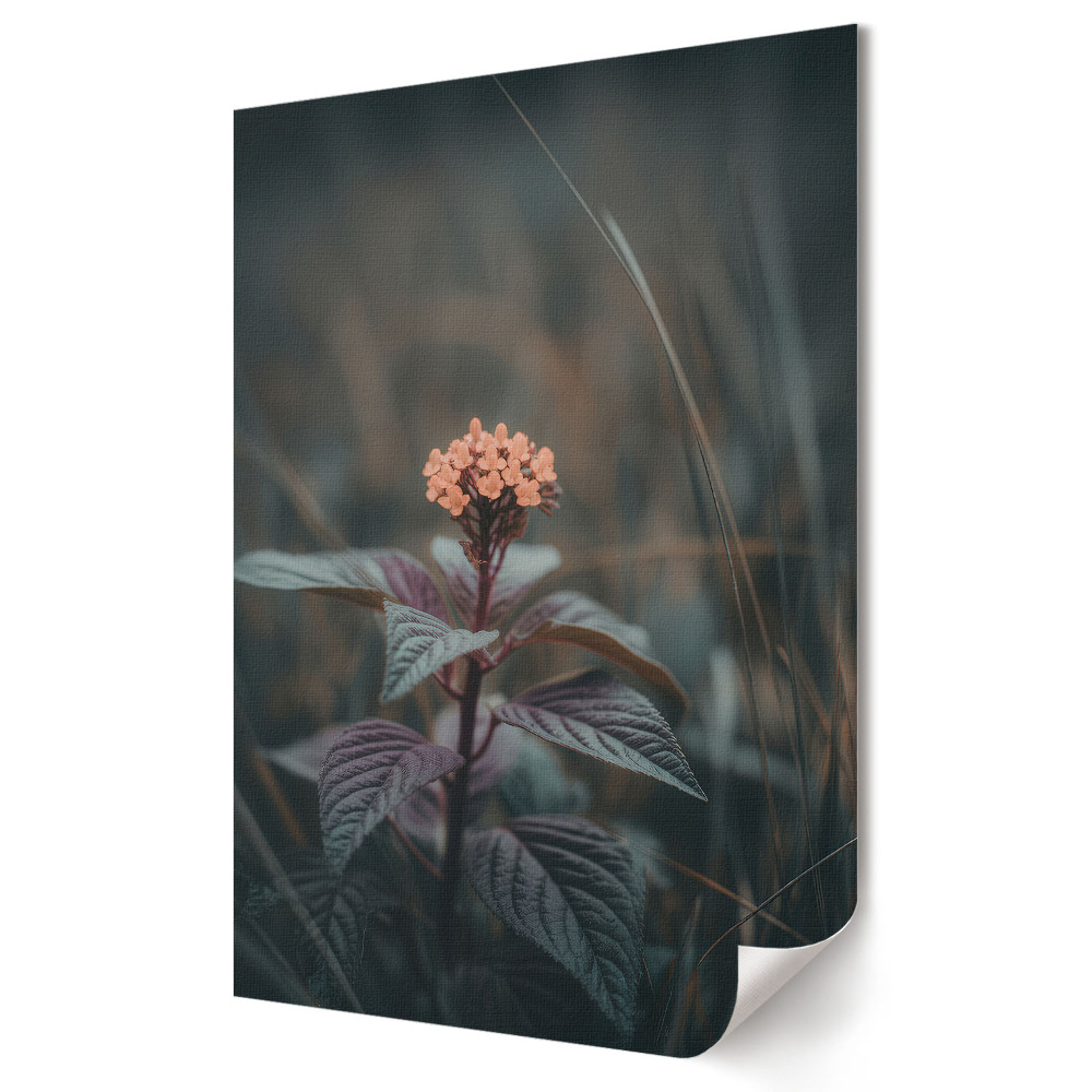Poster decorativ Eleganță florală delicată în umbră