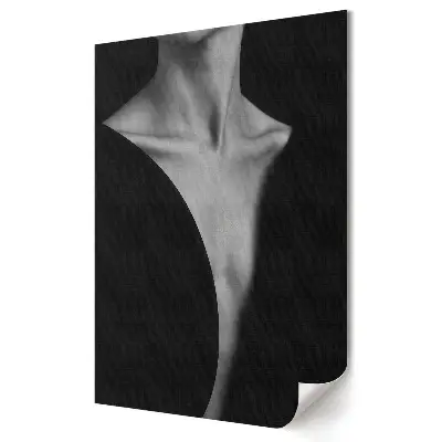 Tablou canvas cu grafică murală monocromă Umbră și lumină