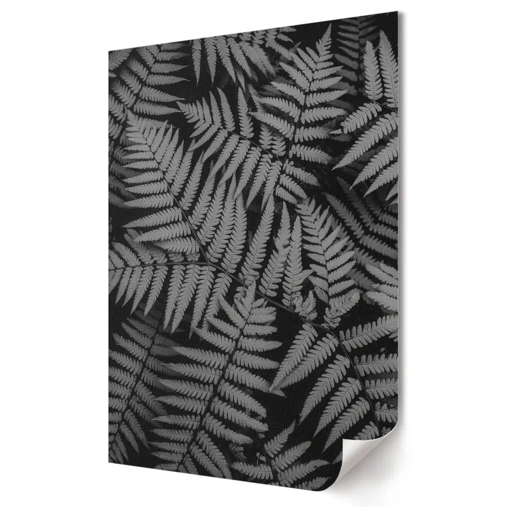 Tablou canvas cu grafică murală reprezentând frunze de ferigă alb-negru