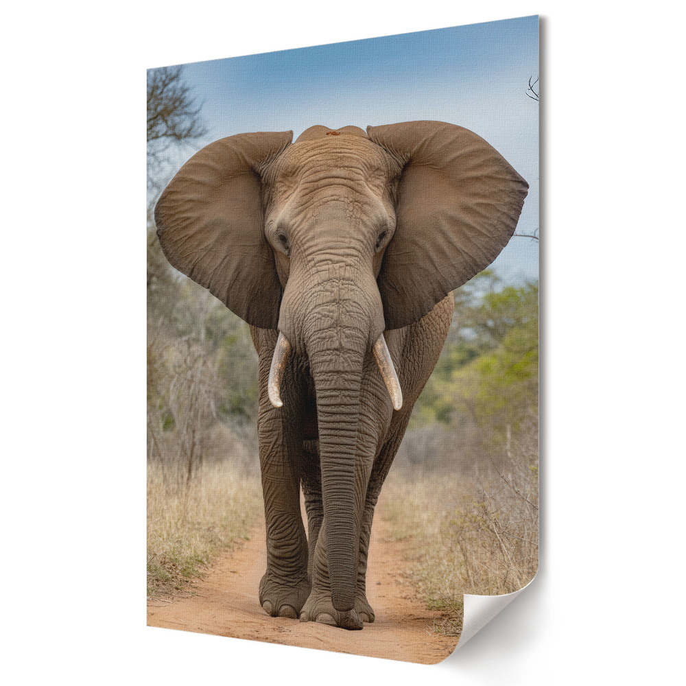 Grafică murală pe pânză Un elefant puternic pe o potecă de pădure