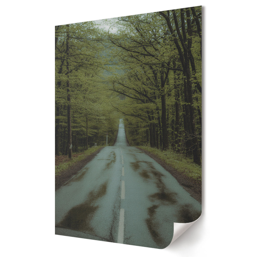 Poster decorativ Drum verde în pădure