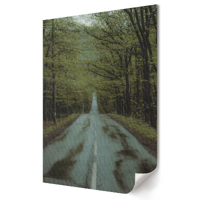 Poster decorativ Drum verde în pădure