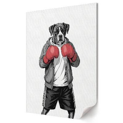 Poster de perete Câine boxer purtând mănuși de box