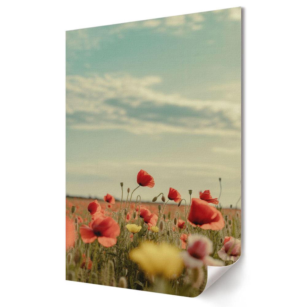 Poster de perete Un peisaj floral în soarele de vară