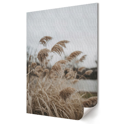 Poster decorativ Ierburi delicate în tonuri de gri-bej