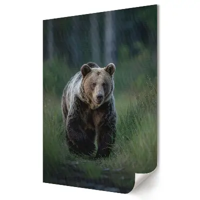 Tablou canvas cu urs grizzly în habitatul său natural