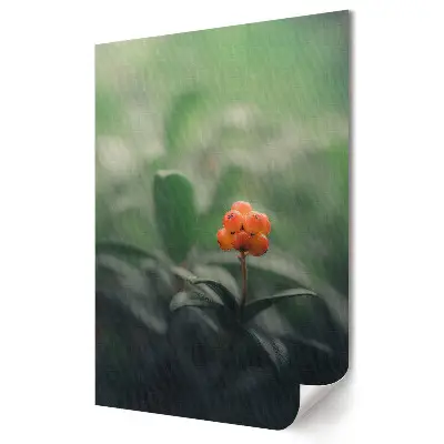 Poster decorativ Delicatesa naturii cu fructe suculente