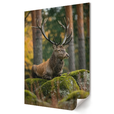 Grafică murală pe pânză Un cerb mare într-un cadru forestier