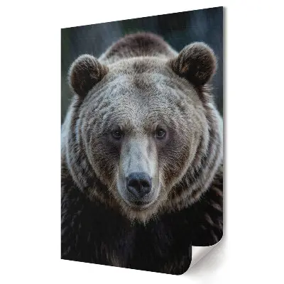 Tablou canvas cu urs puternic în lumină naturală
