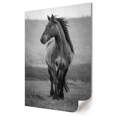 Poster decorativ Eleganța unui cal în alb și negru