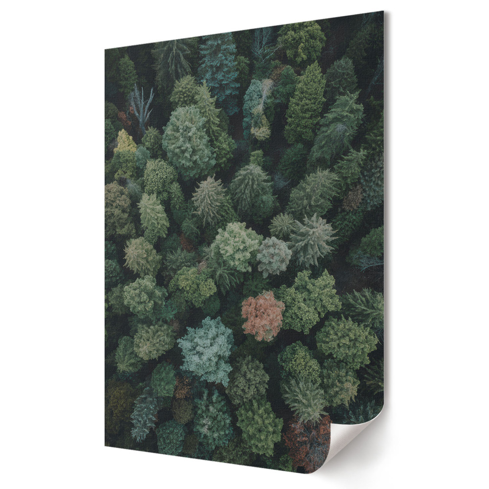 Poster de perete Armonia verde a peisajului forestier