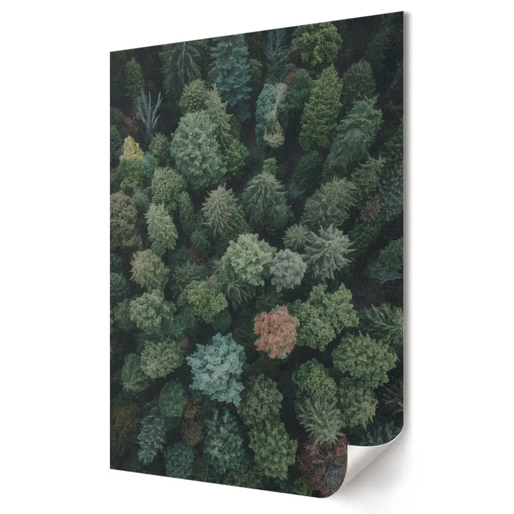 Poster de perete cu peisaj forestier în nuanțe de verde