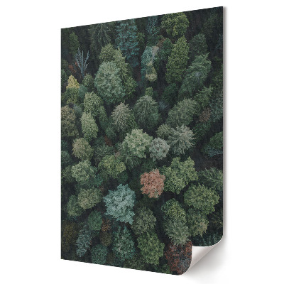 Poster de perete Armonia verde a peisajului forestier