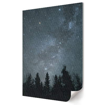 Grafică murală pe pânză Un cer nocturn plin de stele