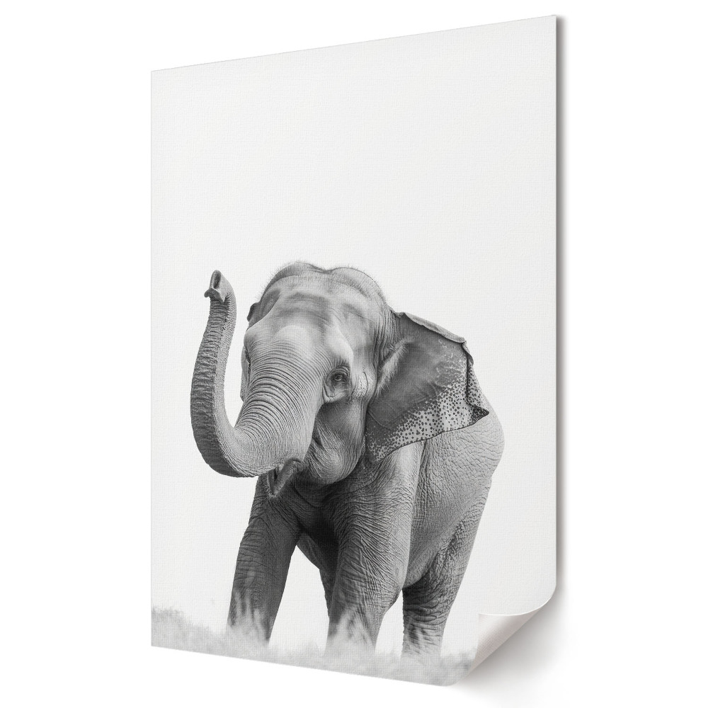 Poster decorativ Eleganța unui elefant într-o formă monocromatică