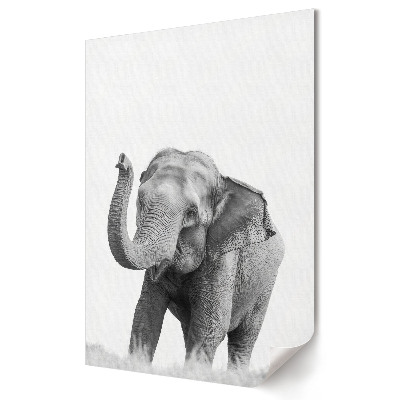 Poster decorativ Eleganța unui elefant într-o formă monocromatică