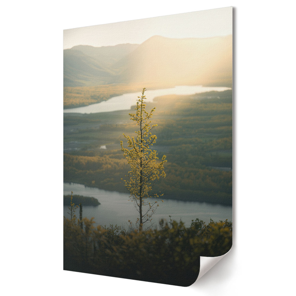 Poster de perete Lumină aurie peste un lac liniștit