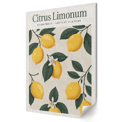 Grafică murală pe pânză Limonadă Boho: Colecție Botanică