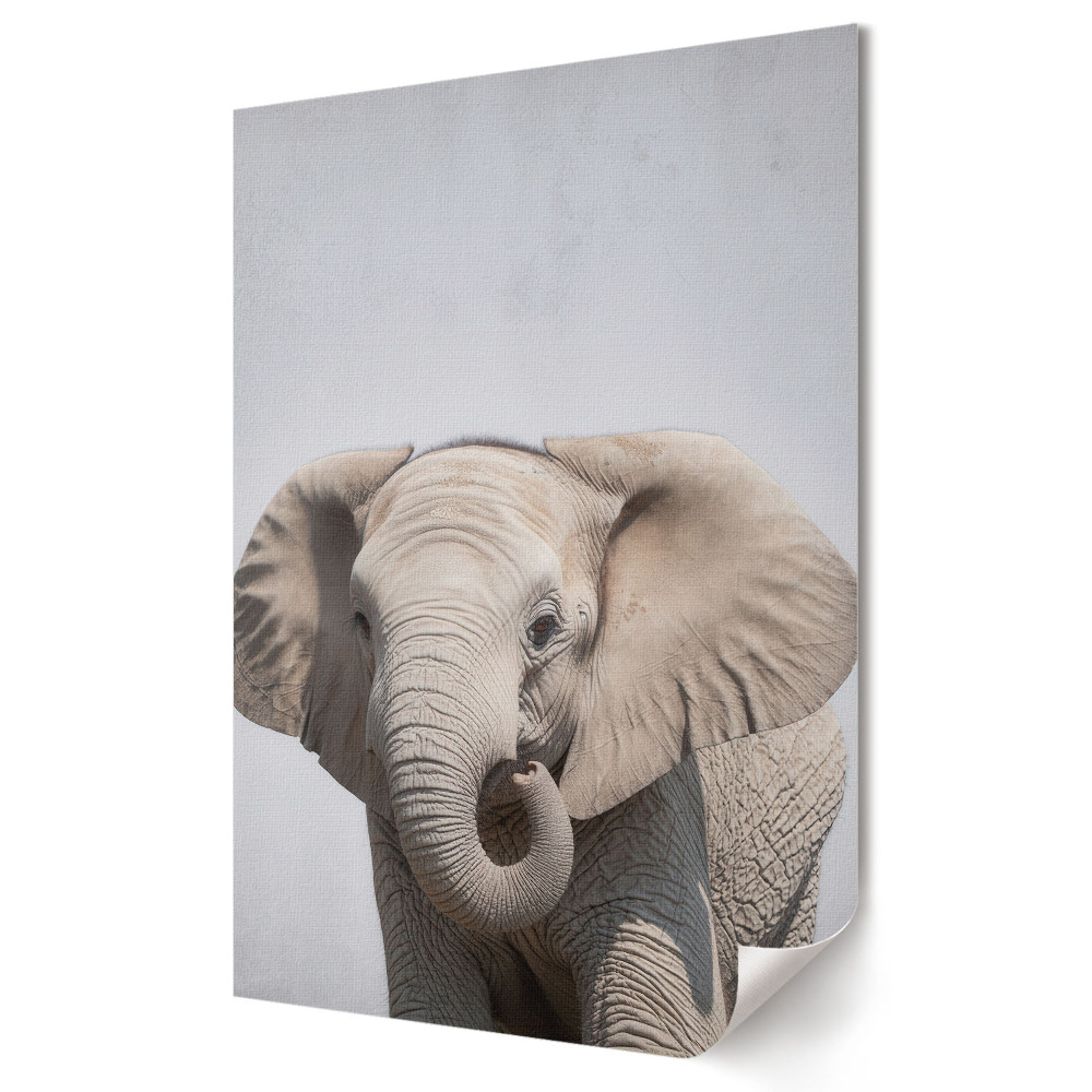 Poster decorativ Caracterul puternic al marelui elefant