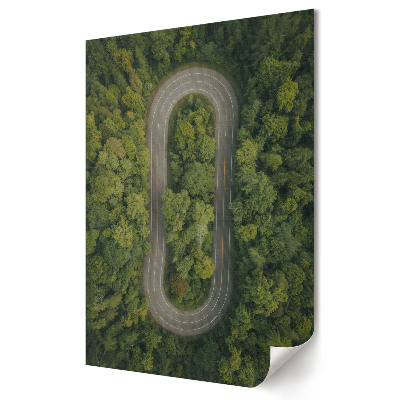 Poster de perete Un drum șerpuitor printre pădurea verde