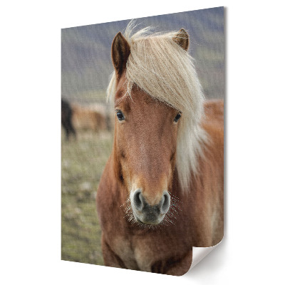 Poster decorativ Un cal fermecător pe pășune