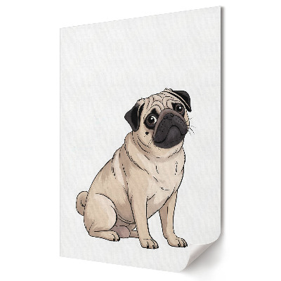 Poster de perete Un drăguț câine pug