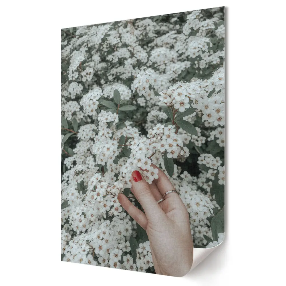 Tablou canvas Delicatețea albului printre verdeață