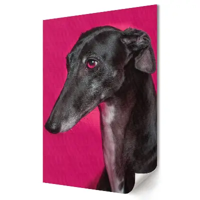 Tablou canvas cu ogar elegant pe fundal roz