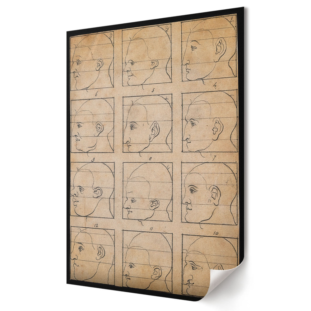Poster de perete Studiul profilurilor faciale umane