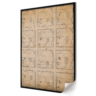 Poster de perete Studiul profilurilor faciale umane