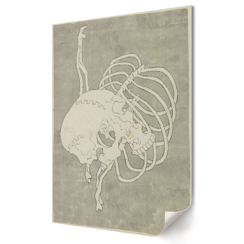 Grafică murală pe pânză Studiu anatomic al craniului și coastelor