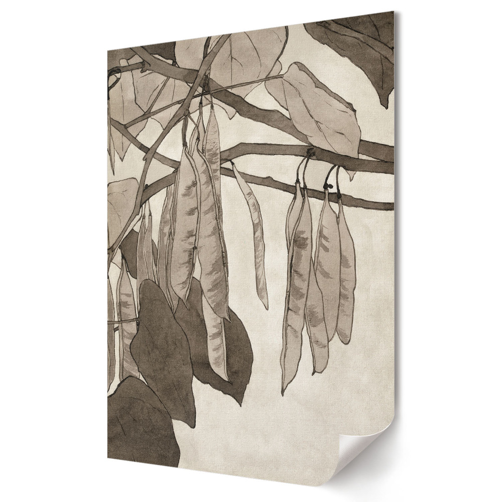 Poster de perete Eleganța păstăilor naturale de plante