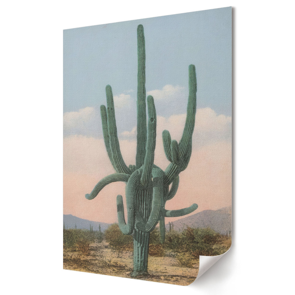 Poster decorativ Un cactus minunat într-un peisaj deșertic