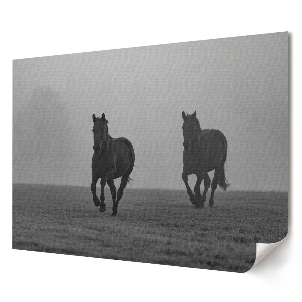 Tablou canvas modern Cai într-un peisaj cețos