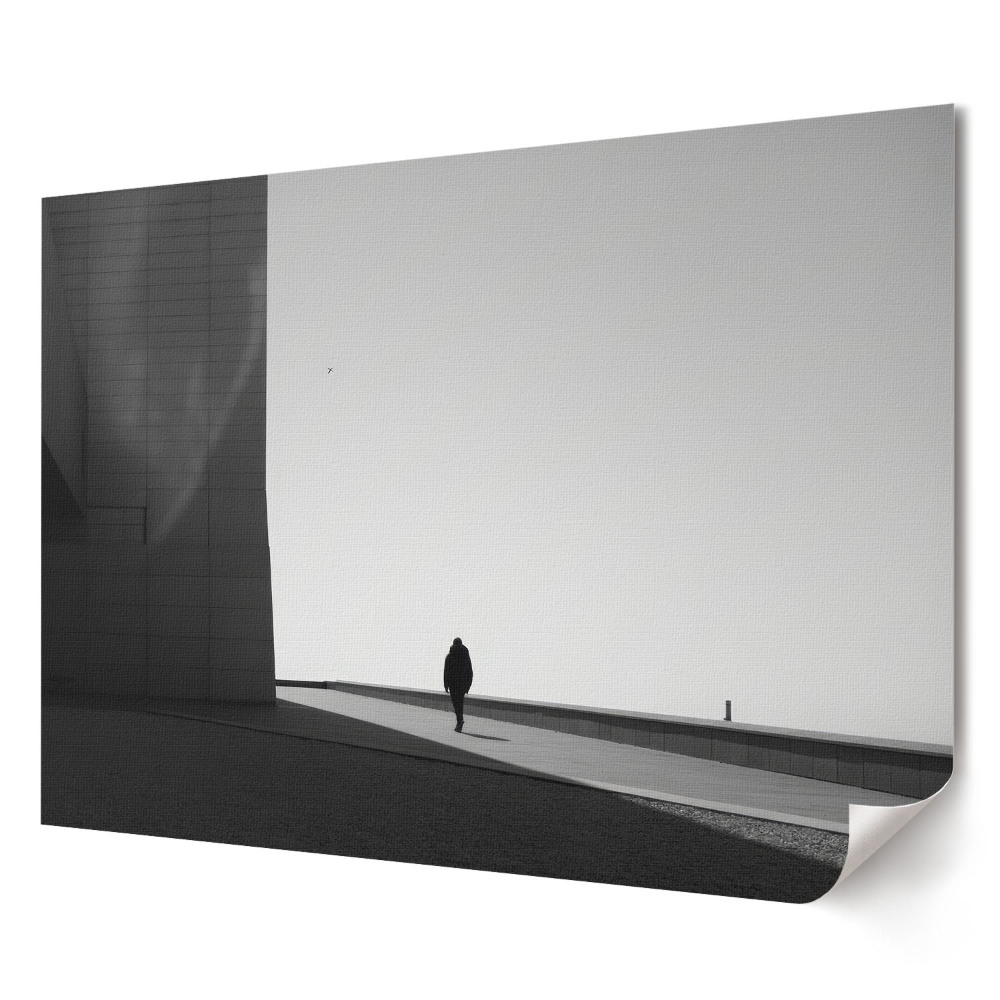 Tablou canvas modern O plimbare solitară într-o lume monocromatică